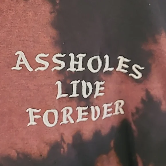 A-Holes Live Forever hoodie - Picture 2 of 4